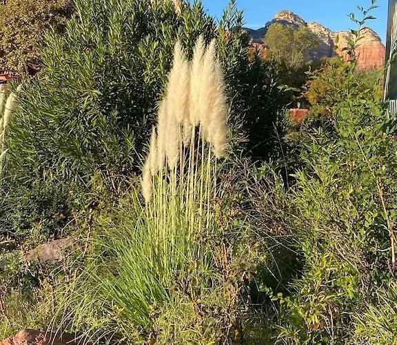 Beautiful Near Chapel Of The Holy Cross Sedona